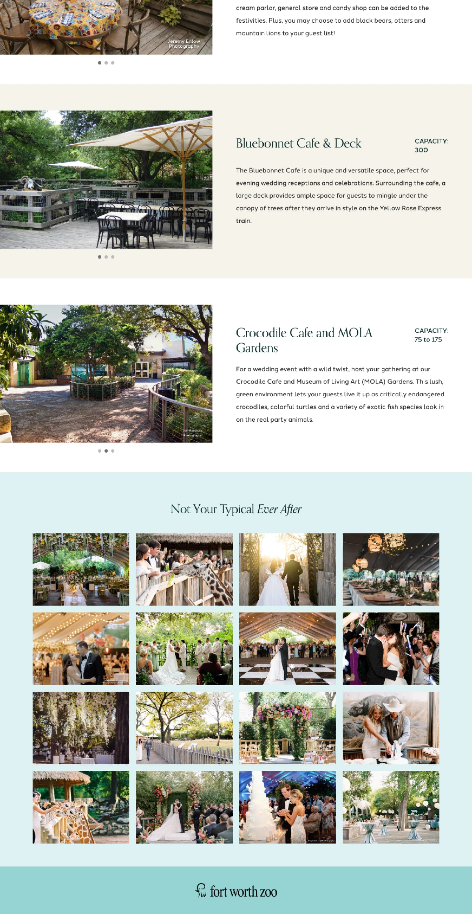 Project One hero image